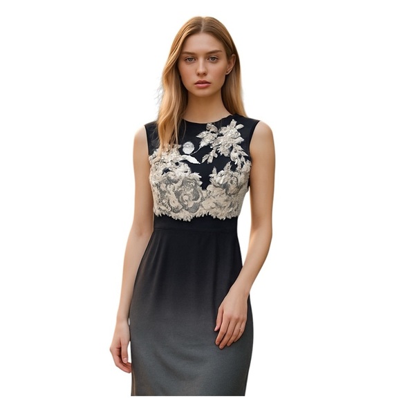 Pilar Rossi Women's Black Lace Sleeveless Party/Cocktail Dress. Size 6 - Picture 2 of 11